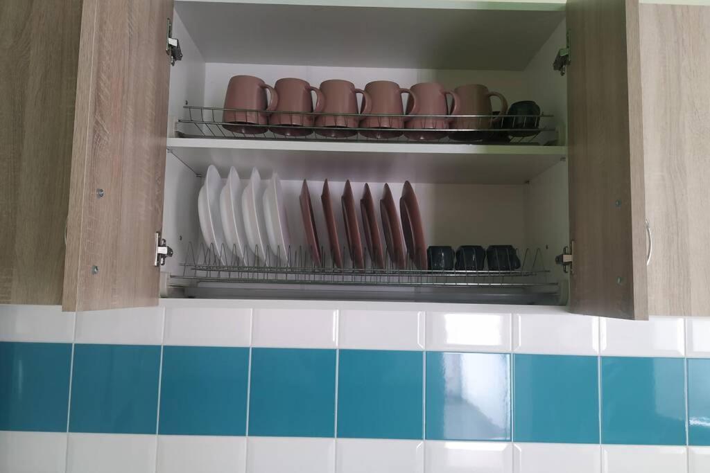 Family And Friends Apartment Ternopil Luaran gambar